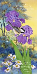 "Evening Song' AER87 by A E Ruffing Chickadee
and Iris