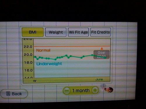 Wii Fit results