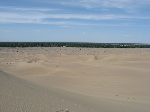 Dune, oasis and sky