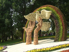 Kyiv Flower-show 2008