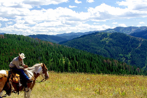 Yellowstone, Wyoming on horseback