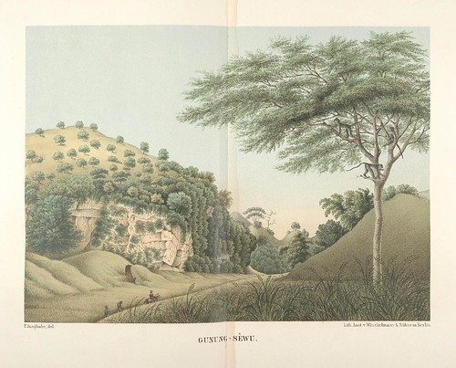 Java seine Gestalt, Pflanzendecke und innere Bauart 1857 (Junghuhn) Gunung-Sewu