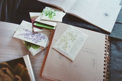 seed packets, garden map, old couch