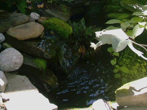 pond and new waterfall position by punkinsmom