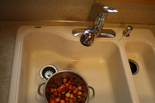 gratuitious sink shot