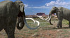 13 pa2- columbian mammoths