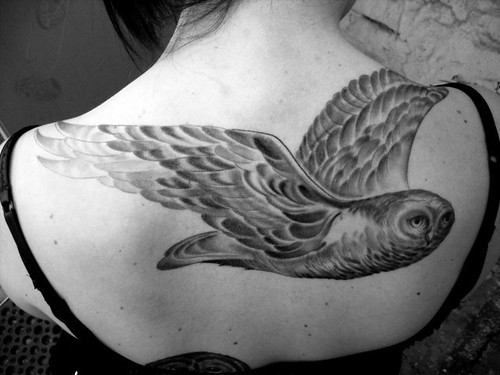 black and white owl tattoos. snowy owl. Photo/tattoo by