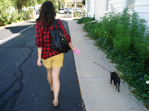 walking the dog!