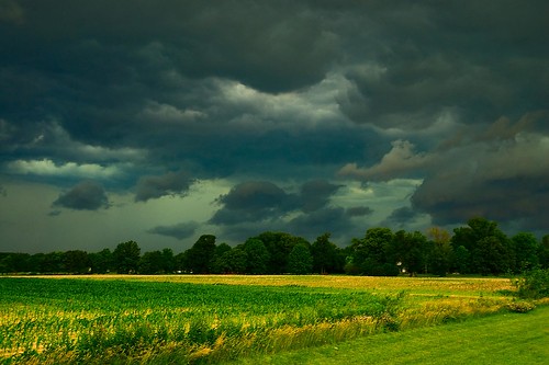 Front Rolling in (by pjern)