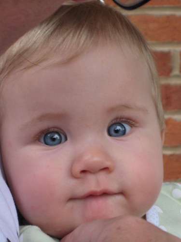 baby blue eyes