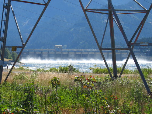Spilling water over Bonneville Dam