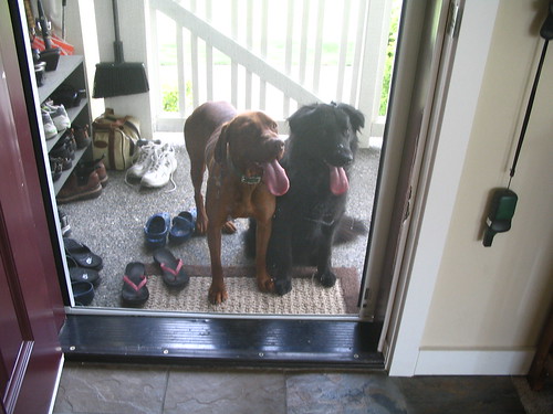 The kids, Bode and Max, tired from playing, and wanting to come inside for eating, drinking and more playing.