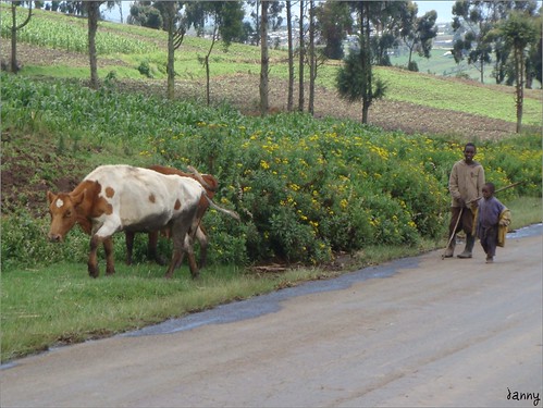 你拍攝的 16 Herdsmen Between Masai Mara and Lake Nakuru。