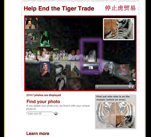  Save the Tiger