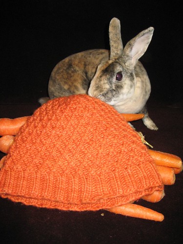 Bun approved carrot