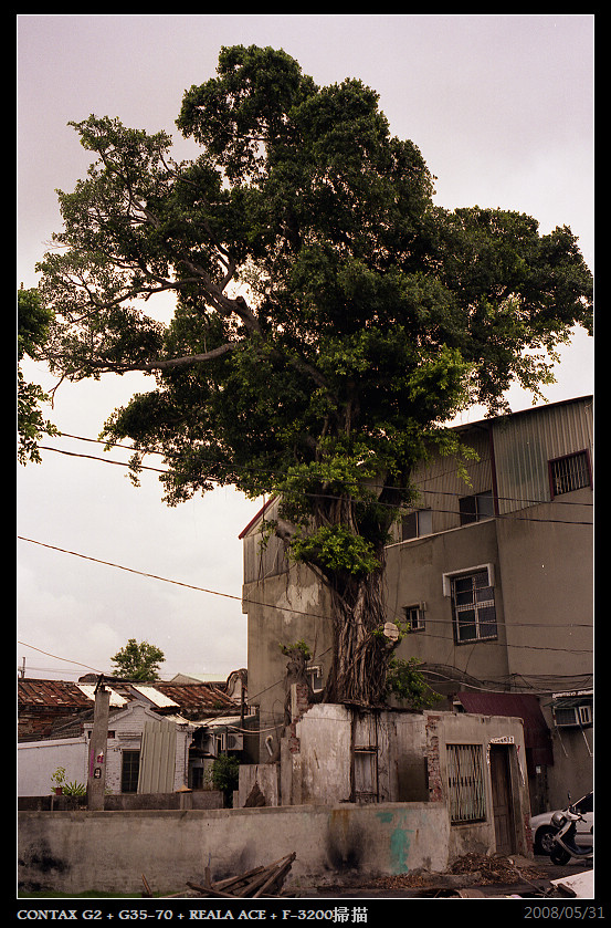 CONTAX_G2+G35-70+REALA_ACE_015_nEO_IMG