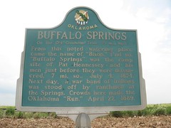 Buffalo Springs