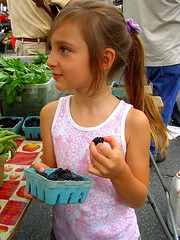 Fresh Picked Blackberries at the Amherst Farmers Market - (c) Sienna Wildfield