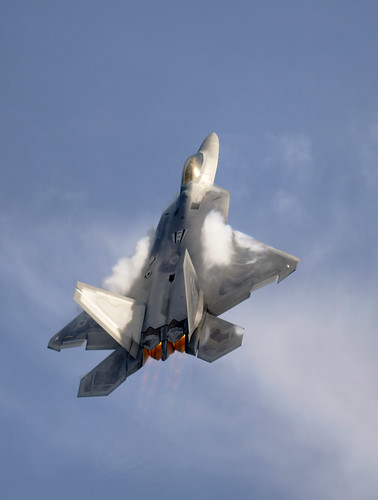 Fighter airplane picture - F-22