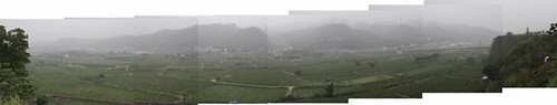 眉溪河床附近的茭白筍田；攝影：倪宏坤，2008年4月24日