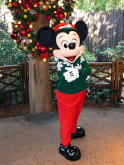 Meeting Mickey Mouse in his Christmas outfit