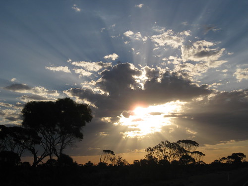 Sunset in the Nullabor
