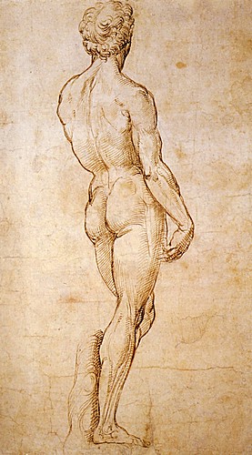 1508  Raphael    A back view of Michelangelo's David  Pen and Brown Ink  39,6x21,9 cm  Londres, British Museum
