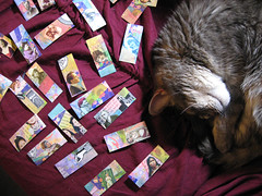 2009_365_028-30 Moo Kitty