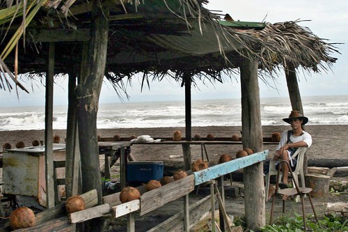 Vendedor de cocos, en Tortuguero