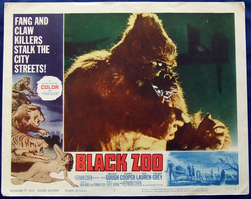 black-Zoo2