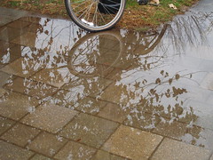 Bicycle reflections