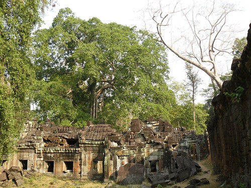 Cambodge - Angkor #121