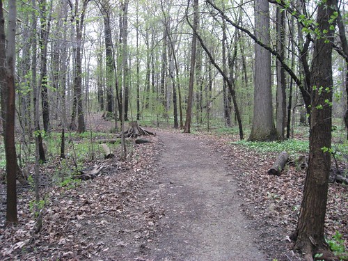 Trail in Edwards Garden, Toronto