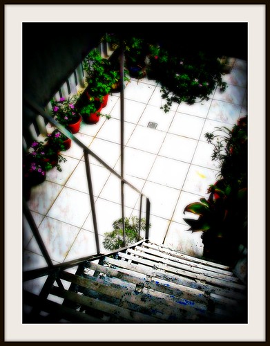 garden stairway