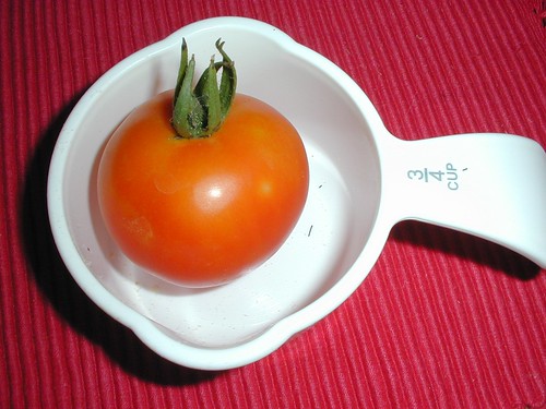 First GOOD Tomato