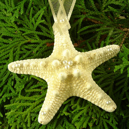 Armored Starfish Ornament
