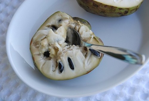 scooping out the cherimoya's flesh