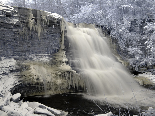 Frozen Swallow Falls