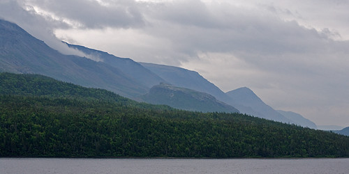 Trout River Valley
