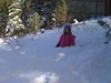 Tahoe -- Sledding