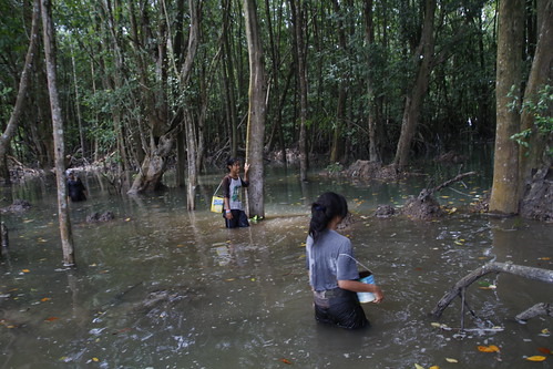 The supporting players in the Mangrove scene