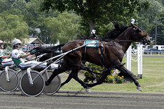 Harness Racing Remote. July 3, 2008