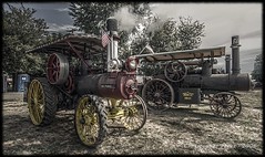 Steam Tractors - Steaming Up