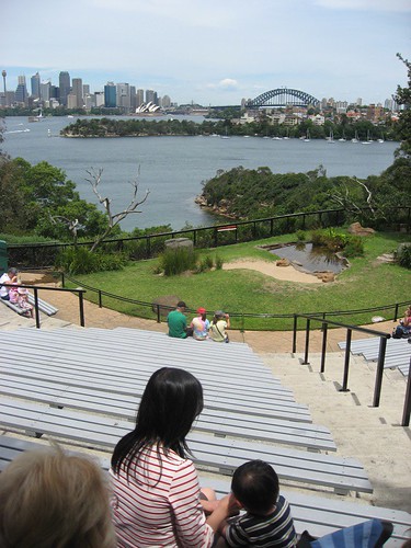 View of Sydney from T Zoo