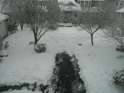 driveway shoveled