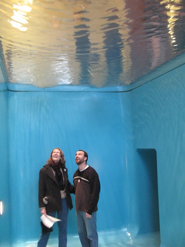 Leandro Erlich : Swimming Pool