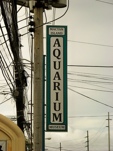 Mactan Island Aquarium by you.