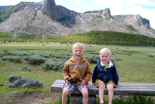 nephews at Yellowstone