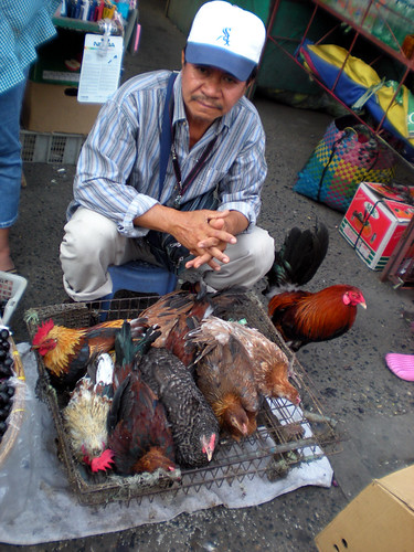 Los Angeles, Pampanga live chicken rooster free range street  sidewalk vendor rural Pinoy Filipino Pilipino Buhay  people pictures photos life Philippinen  菲律宾  菲律賓  필리핀(공화국) Philippines    