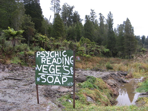 Painted Blackboard sign in mud reading 'Psychic Reading, Vege's & Soap'